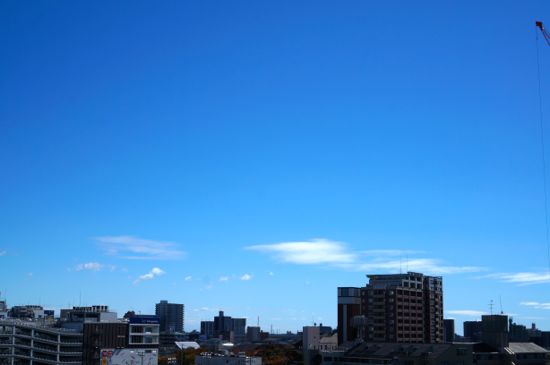 DSC05030.jpg