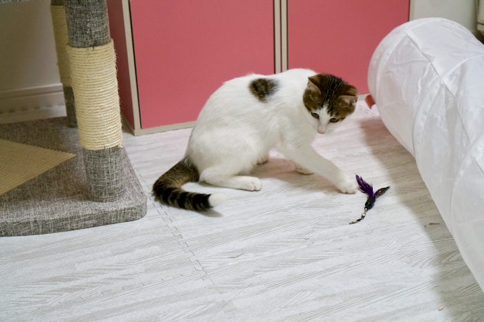 DSC05055.jpg