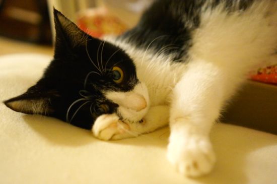 DSC05270.jpg