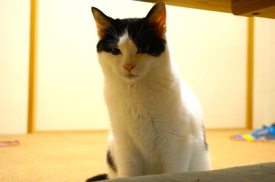DSC06043.jpg