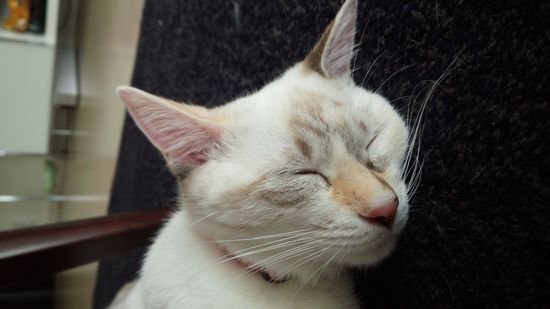 DSC_1082.jpg