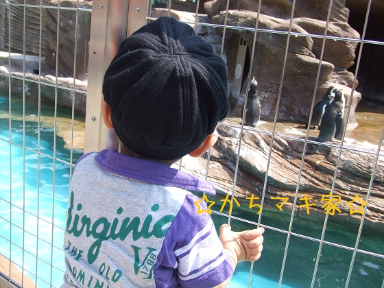 DSCF1572.jpg