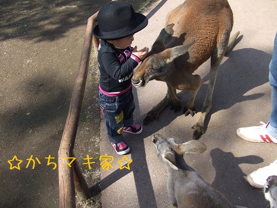 DSCF1649.jpg
