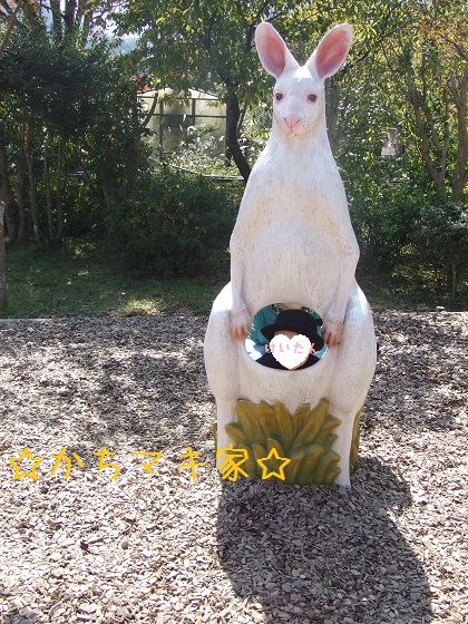 DSCF1654.jpg