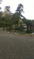 IMAG0160.jpg