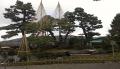 IMAG0167.jpg