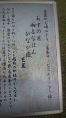 フォト