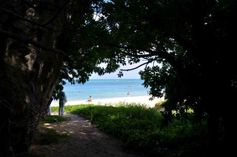 oki201205 079