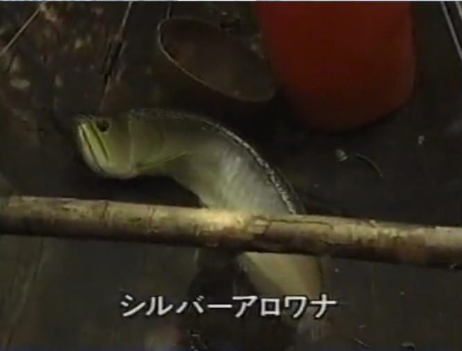 群馬の川5