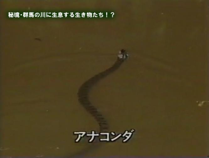 群馬の川2