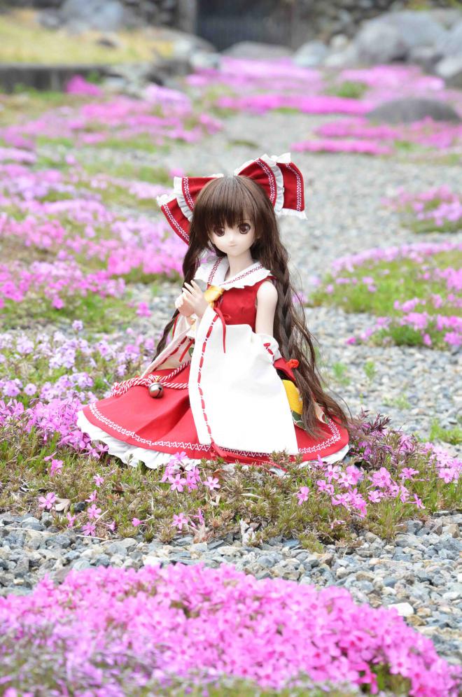 sakura1147 064
