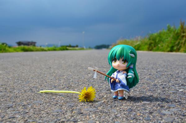 DSC_0004aa.jpg