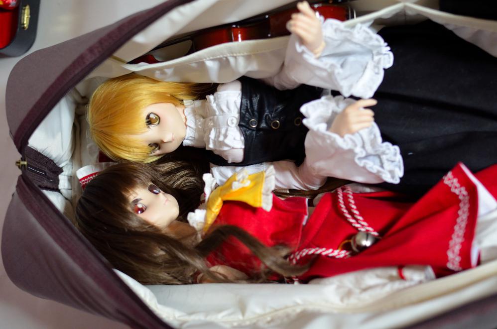 DSC_0005_01aa.jpg