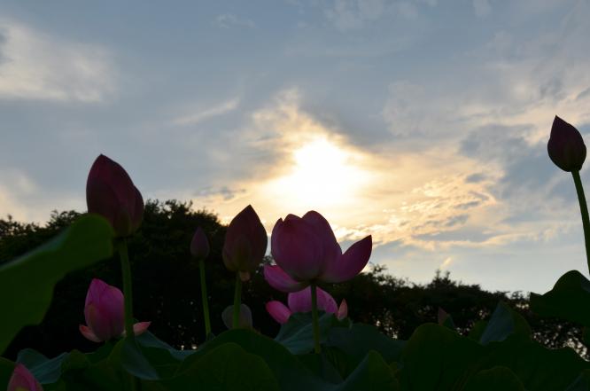 DSC_0007.jpg