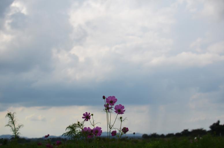 DSC_0008_20120916123717.jpg