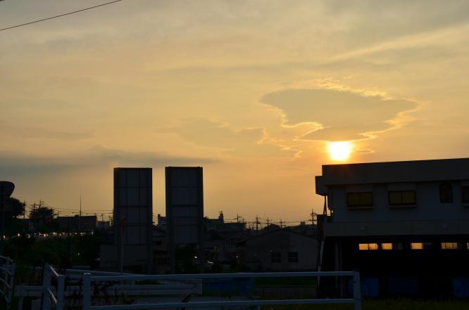 DSC_0029.jpg