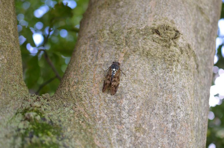 DSC_0032_20120902150146.jpg