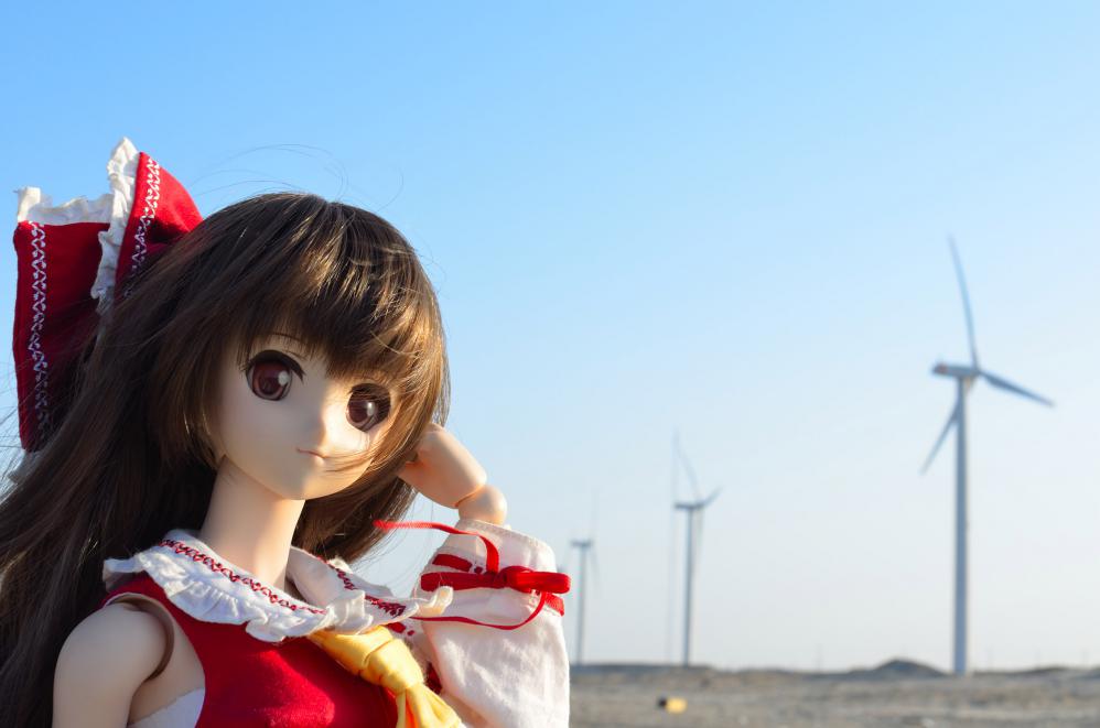 DSC_0036_20130108215157.jpg