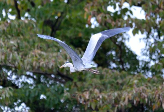 DSC_0063_01.jpg