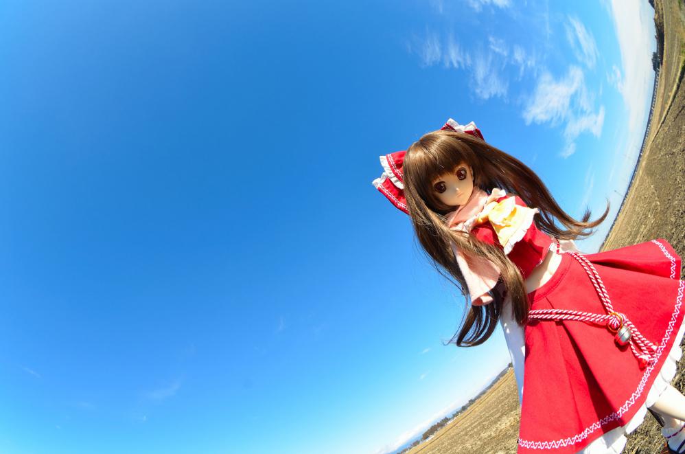 DSC_0064aa_20121231115317.jpg