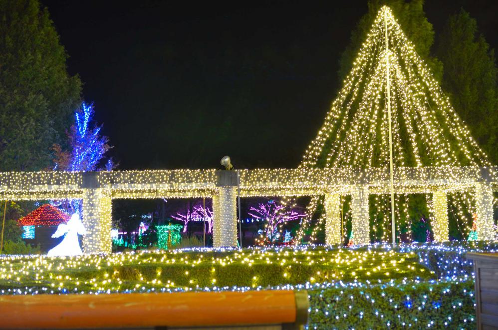 DSC_0067_20121104123549.jpg