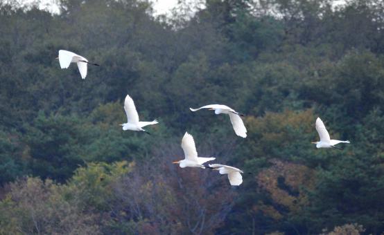 DSC_0075_20121105192040.jpg