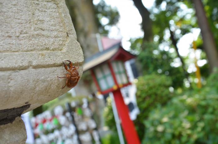 DSC_0076_20120807201856.jpg