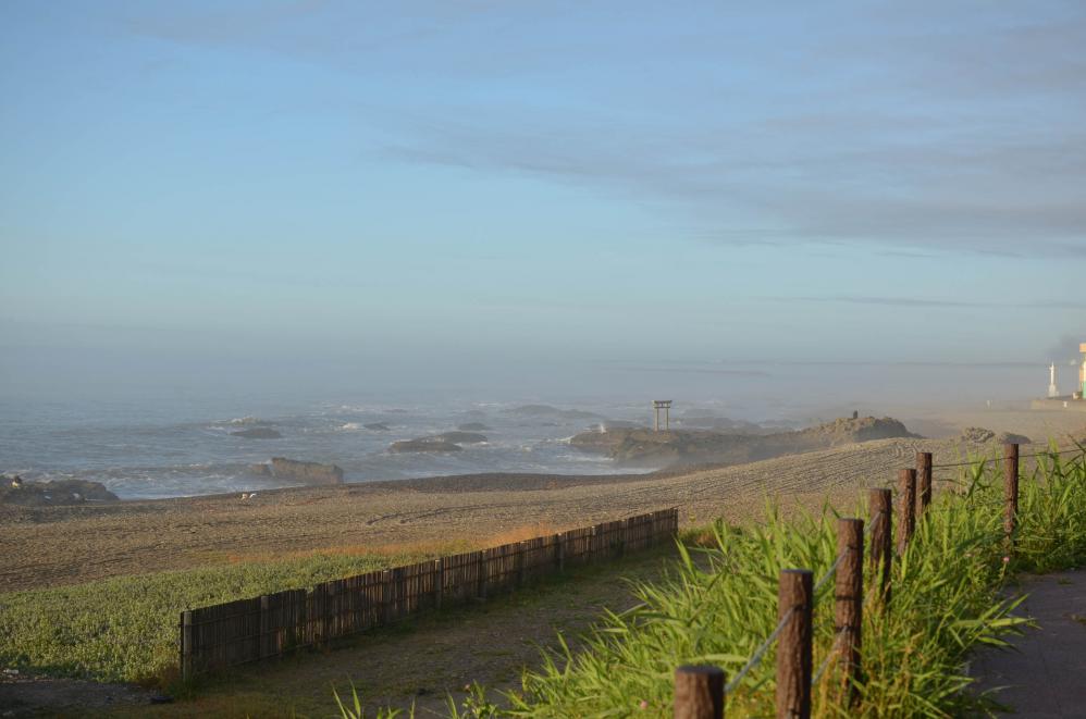 DSC_0078.jpg