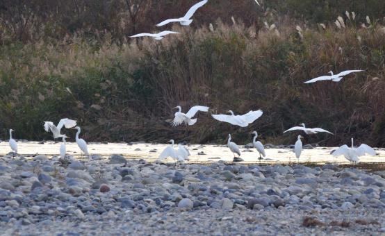 DSC_0086_20121105192041.jpg