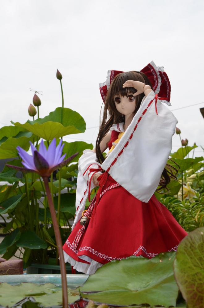 DSC_0087_20120806014837.jpg