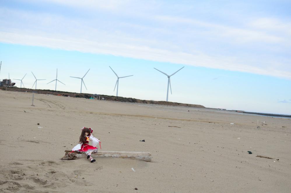 DSC_0102_20130108215316.jpg