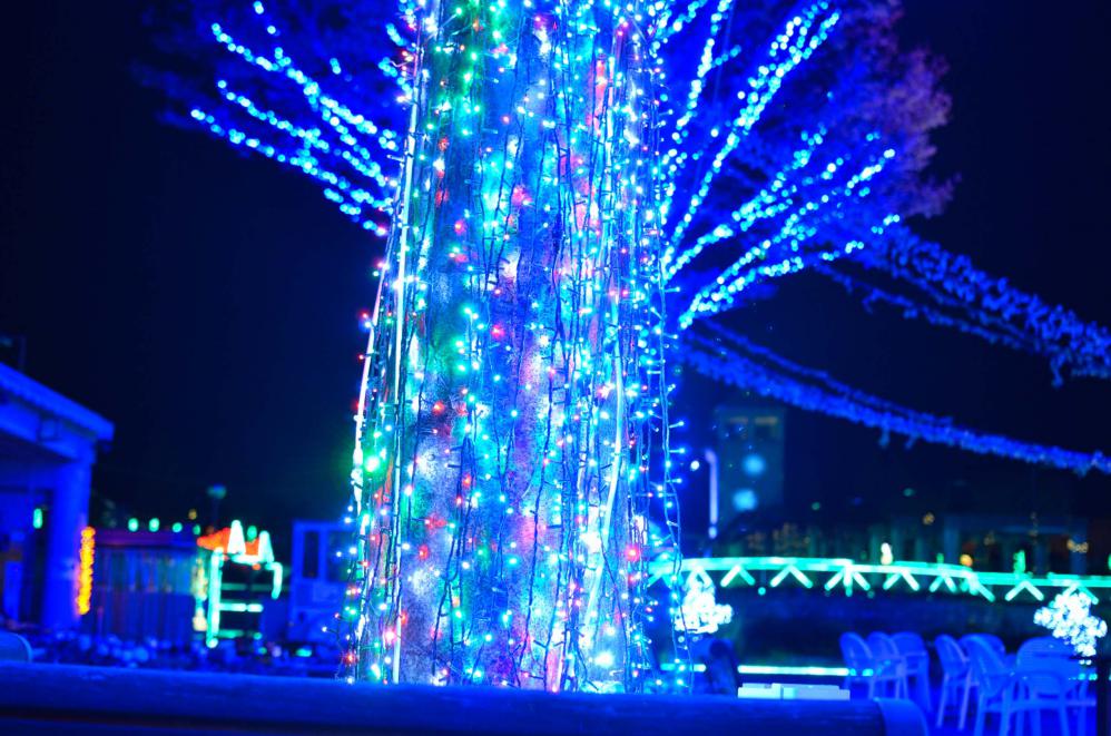 DSC_0115_20121104123547.jpg