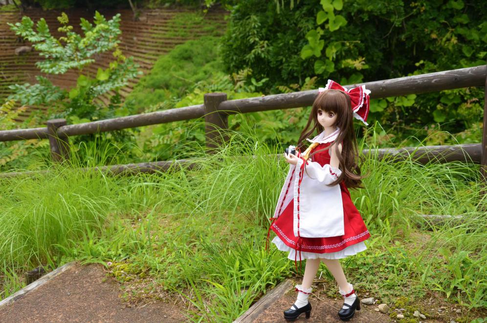 DSC_0136_20120806014834.jpg