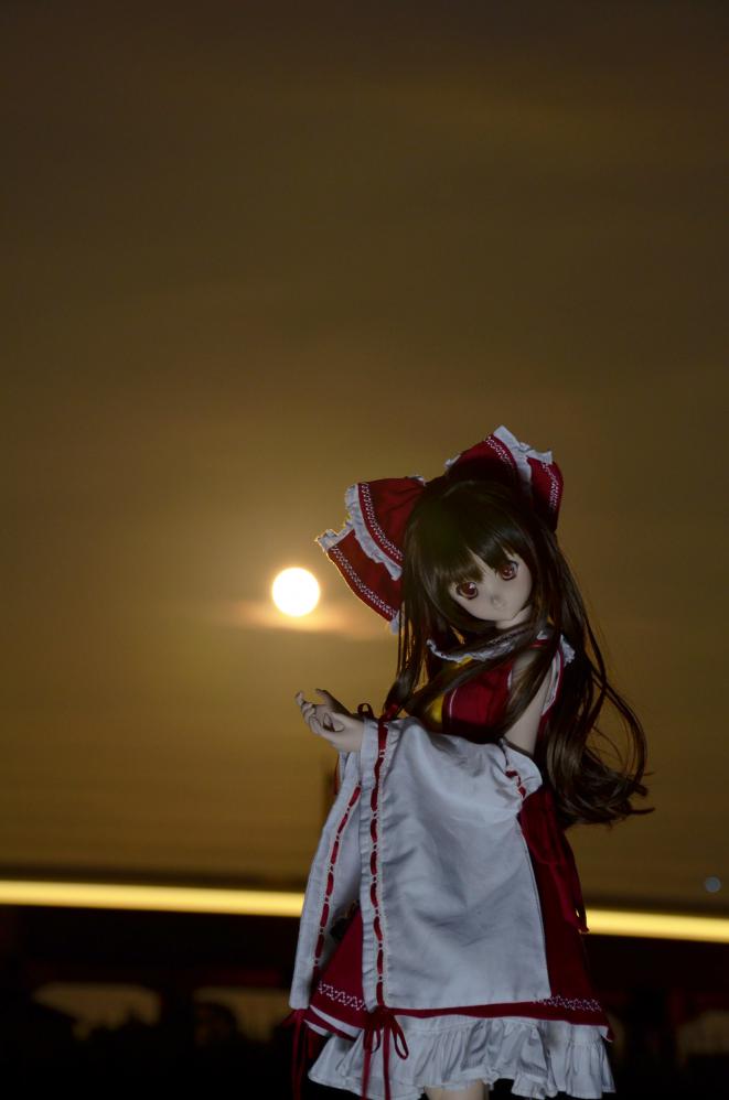 DSC_0248_20120803215400.jpg