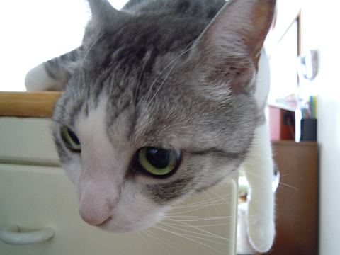 DSCN3357.jpg