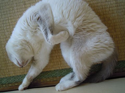 DSCN3540.jpg