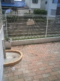 moblog_02c2a998.jpg