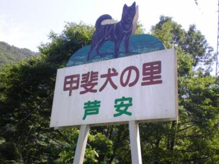 20090818205201557.jpg