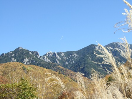 DSCF0206.jpg