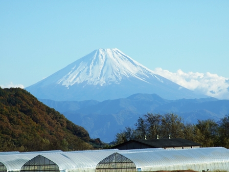 DSCF0268.jpg