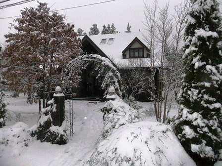 DSCF0803.jpg