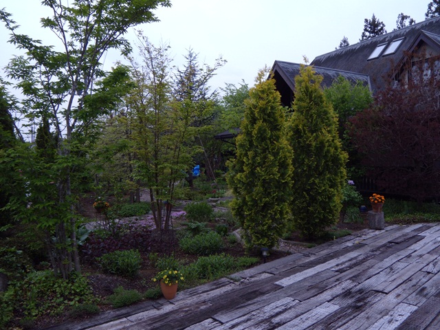DSCN1263.jpg