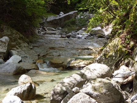 DSCN1345.jpg