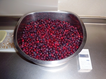 DSCN1476.jpg