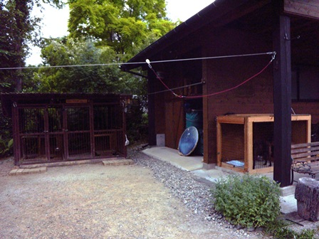 DSCN1593.jpg