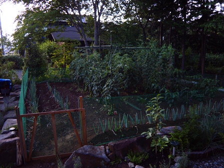 DSCN1602.jpg