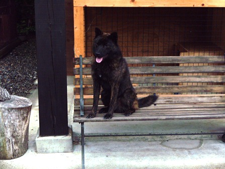 DSCN1675.jpg