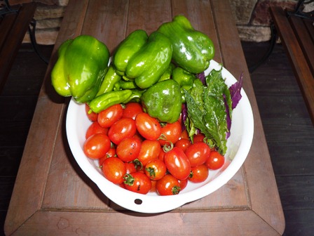 DSCN1715.jpg