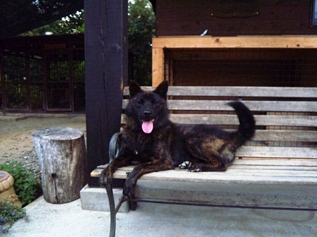 DSCN1805.jpg