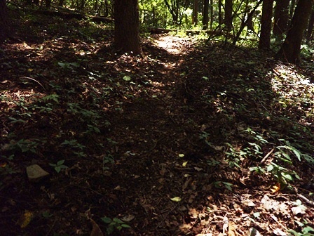 DSCN1818.jpg
